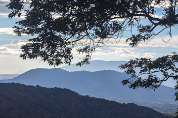 Montañas detrás de las plantas