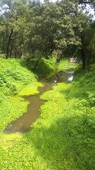 Obraz premium morning in the park