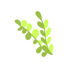 Isolated cute seaweed. Sea life Vector illustration