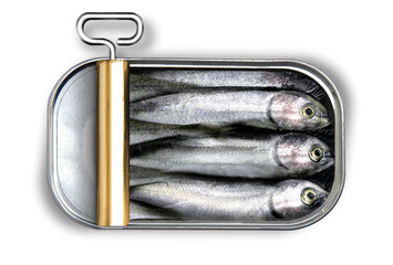 can of sardines - obrazy, fototapety, plakaty