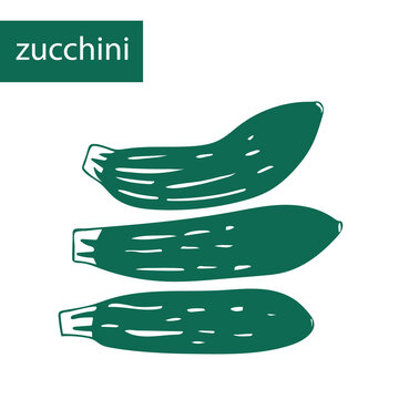 Set of vector images of green zucchini on a white background. Summer vegetables