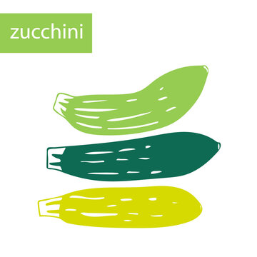 Set of vector images of zucchini on a white background in green colors. Summer vegetables
