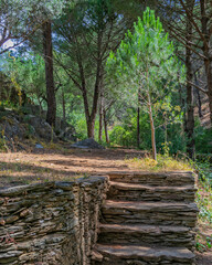 Hiking trail in the mountains