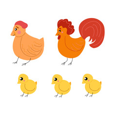 Rooster with hen and chicks on a white background.