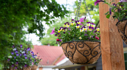 Beautiful spring floral basket hanging from a wooden post with the partial view of a red roof of a house in the background