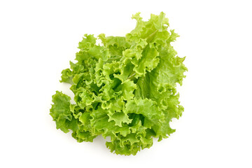 Salad leaf. Lettuce, isolated on white background. High resolution image.