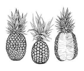 A set of pineapples. Hand-drawn in the sketch style. Graphics. Engraving