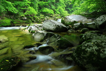 岩手県遠野市　新緑の重端渓
