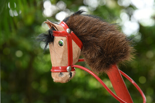 Wooden stick horse and brown stuffed animal. Traditional children's game.