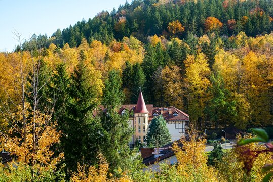 beautiful sunny autumn against a blue sky . 