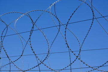 Barbed wire and freedom , summer day