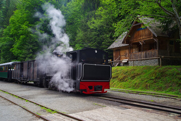 Mocanita Touristic Train The