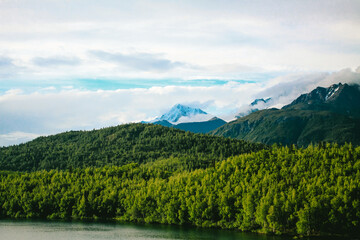 Glenn Highway, Alaska Summer