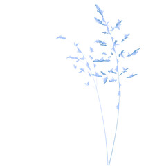 Winter. A branch of herbs covered with frost. Vector stock illustration. Snow. The invitation of December. A minimalist postcard. Frosty watercolor.