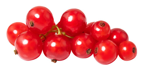 red currant isolated on the white background