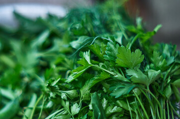 Fresh herbs and spices fresh cuts for cooking in a bowl.  Green parsley close up