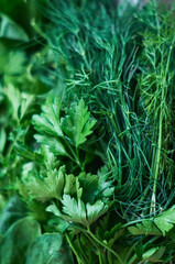Fresh herbs and spices fresh cuts for cooking in a bowl.  Green dill and parsley close up