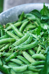 Fresh green peas for cooking in a peel in a bowl