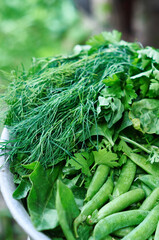 Fresh herbs and spices for cooking in a bowl.  Green peas in pods, spinach, dill, parsley close up