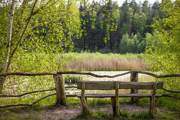 Holzbank im Wald mit Seeblick