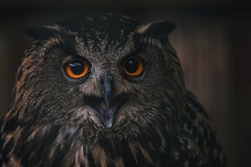 great horned owl