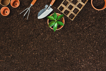 Gardening tools on soil background. Working in the garden