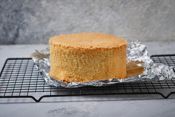 Tall baked sponge cake for a classic vanilla cake.