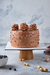 Chocolate sponge cake stuffed with salted caramel and peanuts. Cake with cream cheese chocolate cream.