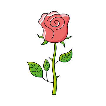 Red rose flower isolated cartoon vector
