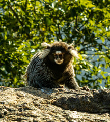 Mico looking me in the eyes