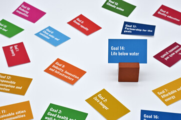 There is card with the statement Goal 14:Life below water on it one of the goals of the SDGs.