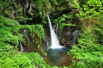 Obraz premium 日光 裏見の滝 夏景
