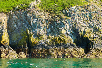 Fototapety na wymiar - Fototapeta24.pl