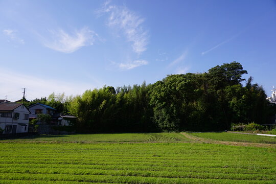 939 Best 里山風景 Images Stock Photos Vectors Adobe Stock