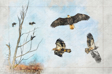 This study of bald eagles was originally photographed along the shoreline of Lake Huron. (This photograph was digitally enhanced to create an artistic impression of the subject.)