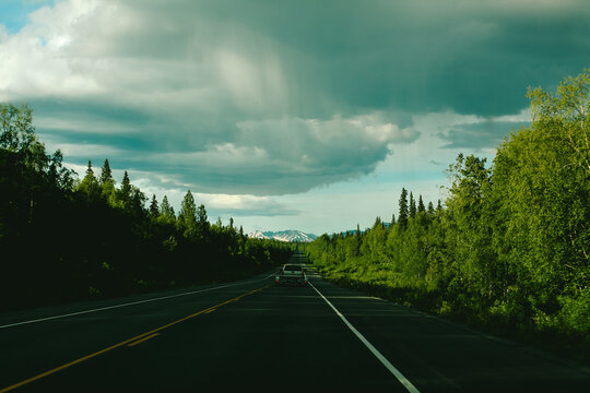 Denali State Park, Alaska Summer
