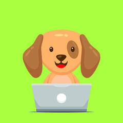 Cute Dog Working with Laptop