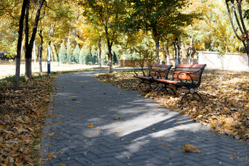 Quiet and beautiful park in autumn with seats inside