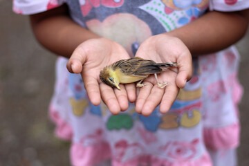 Child with a little bird