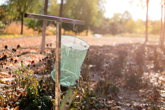 Tools For Catching Mosquitoes In The Autumn Park