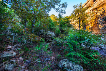 view up a shaded rocky, brush covered slope through a canyon beside a towering, sunlit cliff face beneath a blue sky, shawnee National Forest Illinois