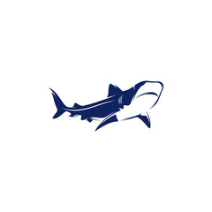 Shark vector illustration isolated on white background. Abstract, simple, and elegant