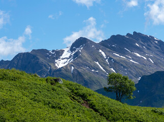 Obraz premium snowi mountains and green hills