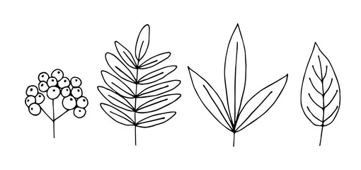 Set of different leaves, berry rowan. Deciduous trees. Simple hand-drawn vector drawing in black outline.