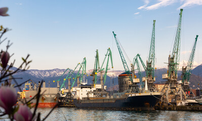 View of berthing line of Batumi Sea trade Port with cargo cranes and loading barges on sunny spring...