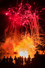 Fototapeta na wymiar Fireworks in the night. Orlando, Florida, USA, February 2014