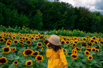 Beautiful girl in a field of sunflowers