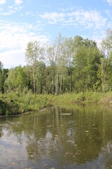 Fototapeta na wymiar river in summer bay in the forest lake for fishing