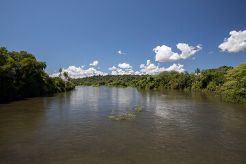 The calm river flowing across the jungle. Beautiful green foliage vegetation under a blue sky.	
