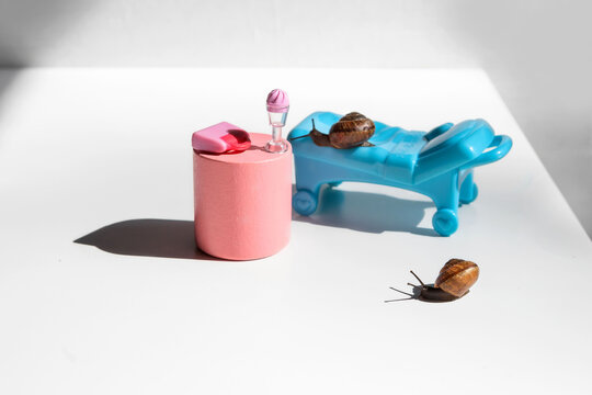 The family is in the medical office.Three snails on vacation.Snail house.Snails with a brown shell and antennae.The office of a toy psychologist.A blue sofa and a pink table.Snails crawl on the sofa